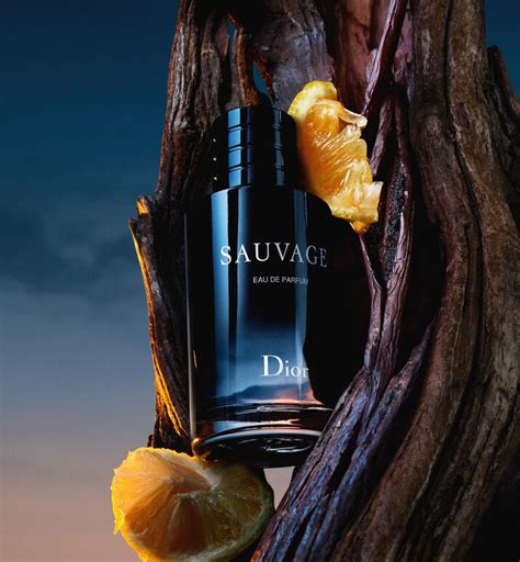 dior sauvage reisegröße|Sauvage Eau de Parfum: Citrus Vanilla Fragrance .